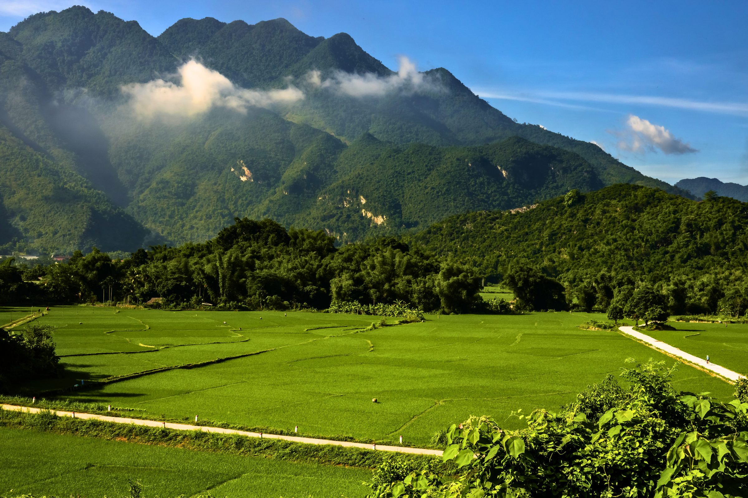 mai châu district (3).webp
